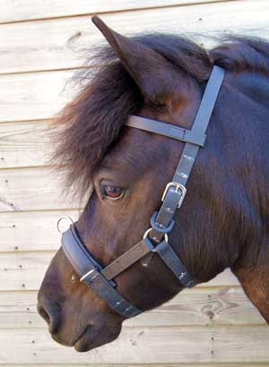 Equine Pony Tack Specialist selling Tack and Show Equipment