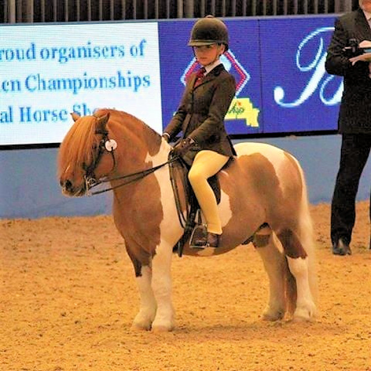 Winners Gallery | Pony Tack Saddle Pad Specialist selling In Hand and Ridden Show Tack and Pony Schooling Equipment gallery image 37