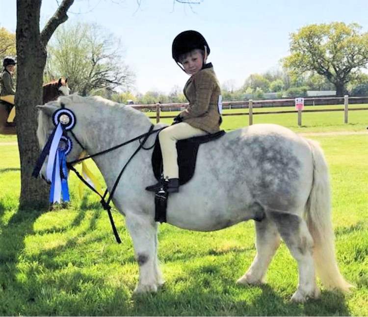 Winners Gallery | Pony Tack Saddle Pad Specialist selling In Hand and Ridden Show Tack and Pony Schooling Equipment gallery image 74