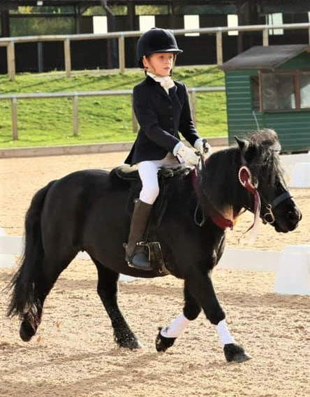 Winners Gallery | Pony Tack Saddle Pad Specialist selling In Hand and Ridden Show Tack and Pony Schooling Equipment gallery image 73